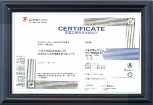 Ningbo Wanshun Bearing Co., Ltd.